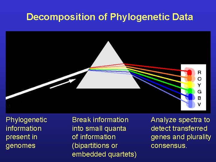 Decomposition of Phylogenetic Data Phylogenetic information present in genomes Break information into small quanta