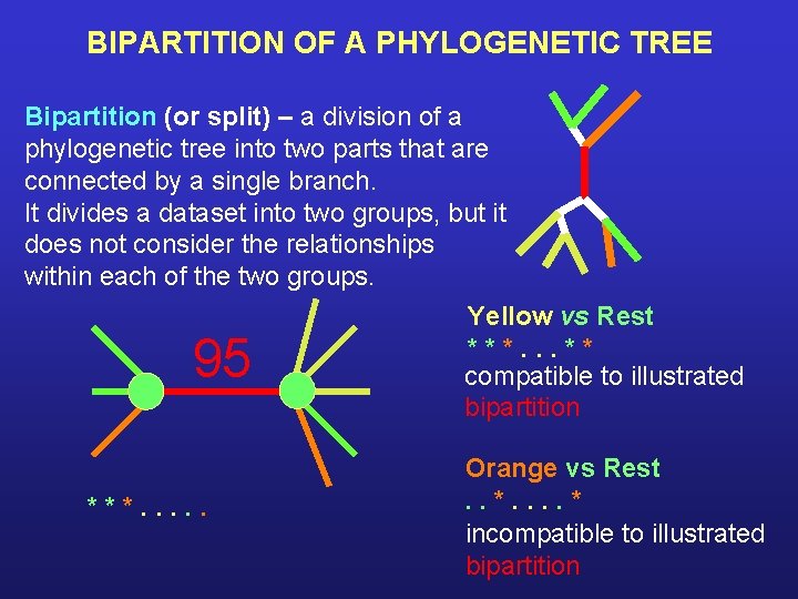 BIPARTITION OF A PHYLOGENETIC TREE Bipartition (or split) – a division of a phylogenetic