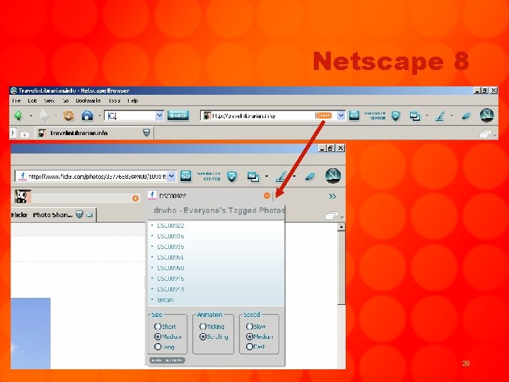 Netscape 8 29 