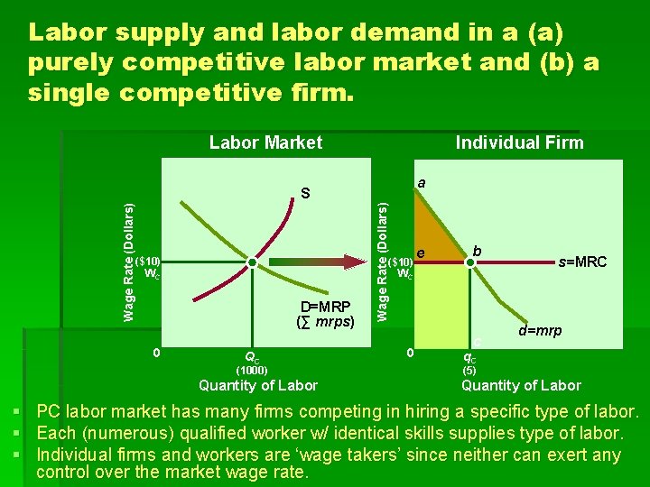 Labor supply and labor demand in a (a) purely competitive labor market and (b)
