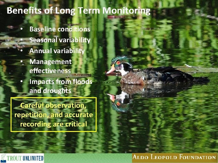 Benefits of Long Term Monitoring Baseline conditions Seasonal variability Annual variability Management effectiveness •