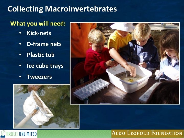 Collecting Macroinvertebrates What you will need: • Kick-nets • D-frame nets • Plastic tub
