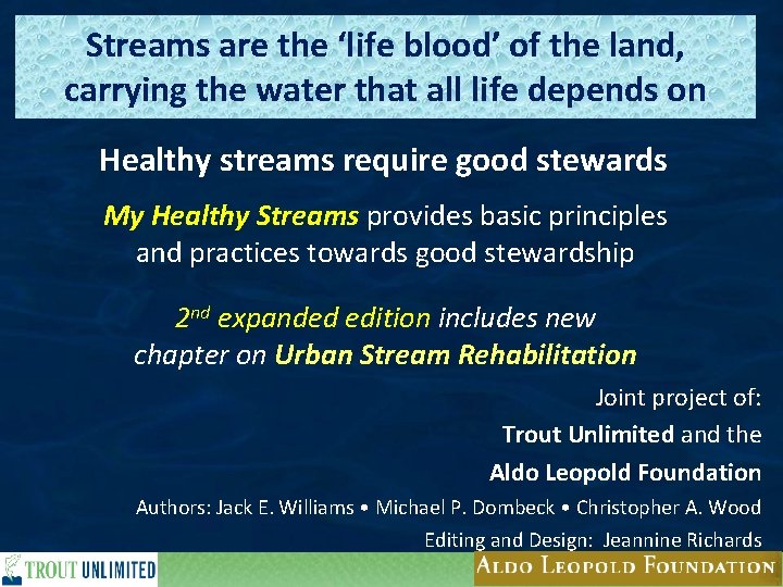 Streams are the ‘life blood’ of the land, carrying the water that all life