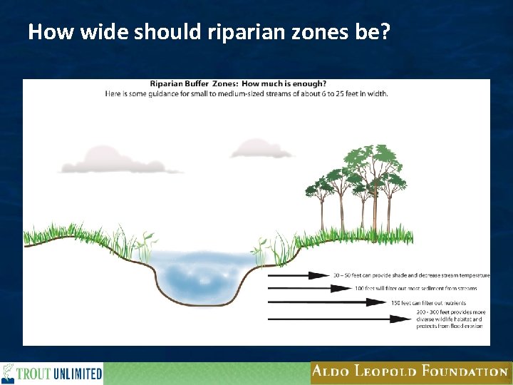 How wide should riparian zones be? 22 