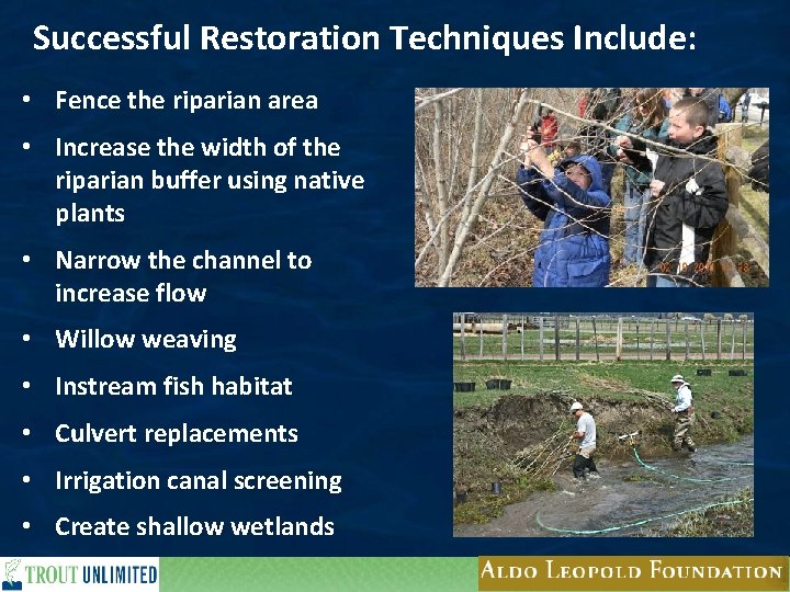 Successful Restoration Techniques Include: • Fence the riparian area • Increase the width of