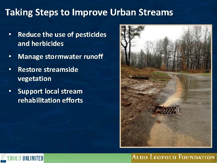 Taking Steps to Improve Urban Streams • Reduce the use of pesticides and herbicides