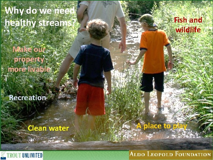 Why do we need What isstreams? a healthy Healthy Stream? C Fish and wildlife