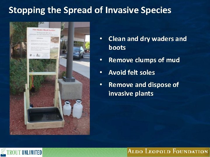 Stopping the Spread of Invasive Species • Clean and dry waders and boots •