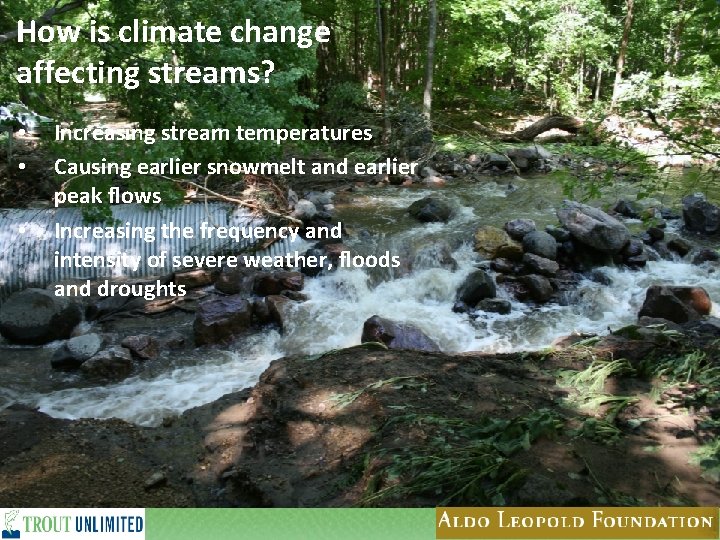 How is climate change affecting streams? • • • Increasing stream temperatures Causing earlier