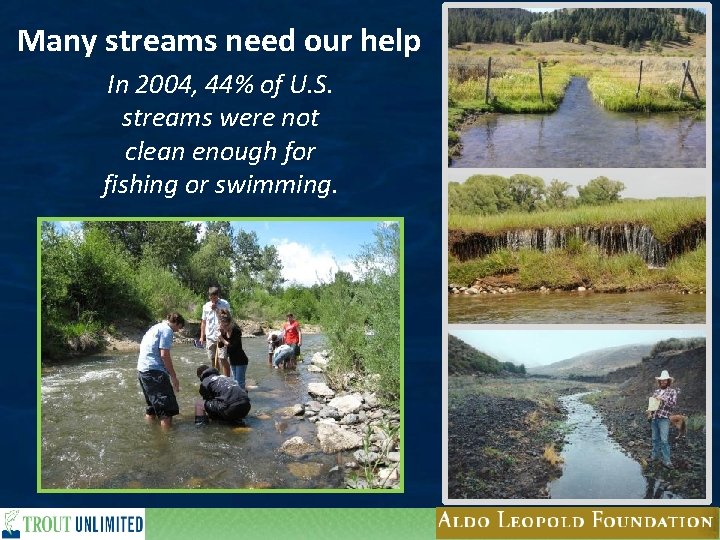 Many streams need our help In 2004, 44% of U. S. streams were not