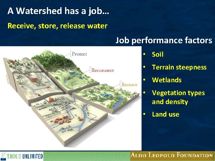 A Watershed has a job… Receive, store, release water Job performance factors • Soil