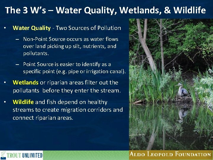 The 3 W’s – Water Quality, Wetlands, & Wildlife • Water Quality - Two