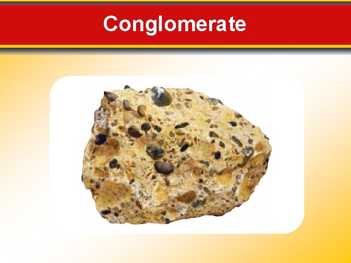 Conglomerate Conglomerate