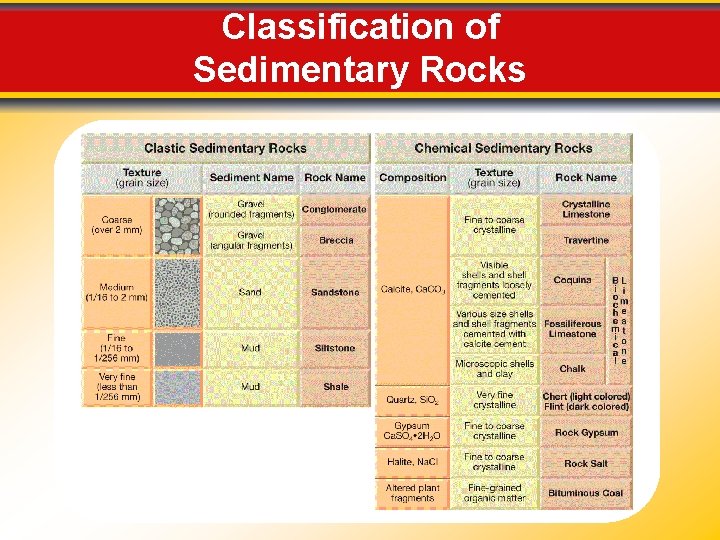 Classification of Sedimentary Rocks Classification of Sedimentary Rocks