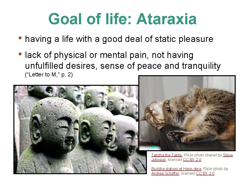 Goal of life: Ataraxia • having a life with a good deal of static