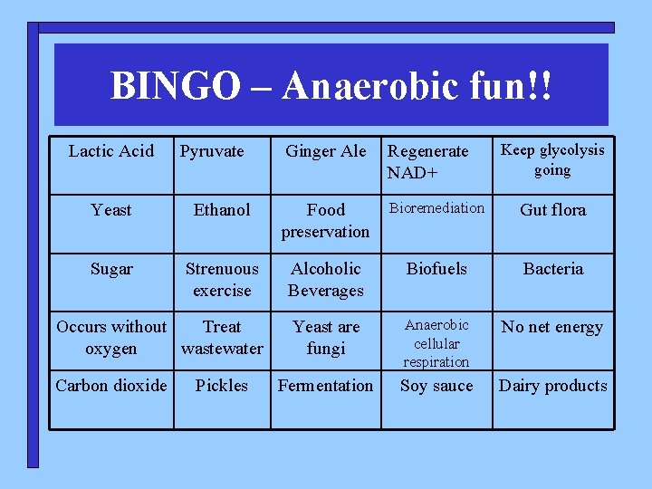 BINGO – Anaerobic fun!! Lactic Acid Pyruvate Ginger Ale Regenerate NAD+ Keep glycolysis going