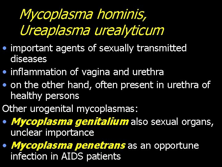 Mycoplasma hominis, Ureaplasma urealyticum • important agents of sexually transmitted diseases • inflammation of