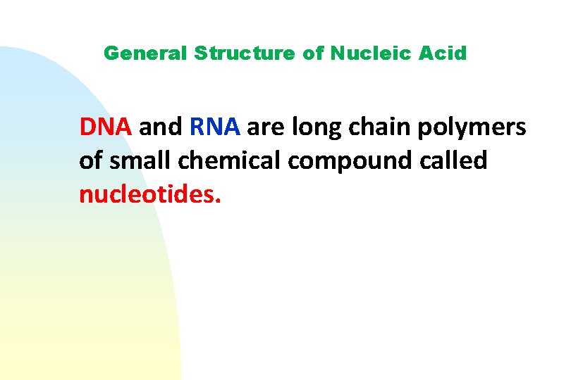 General Structure of Nucleic Acid DNA and RNA are long chain polymers of small