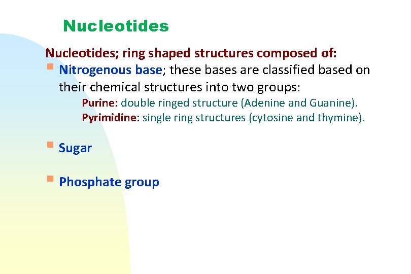 Nucleotides; ring shaped structures composed of: § Nitrogenous base; these bases are classified based
