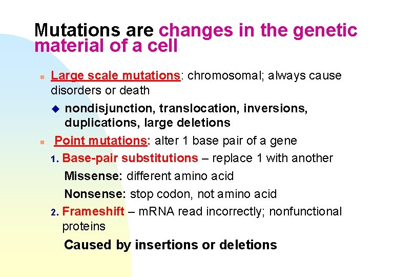 Mutations are changes in the genetic material of a cell n n Large scale