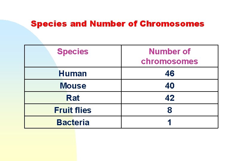 Species and Number of Chromosomes Species Human Mouse Rat Fruit flies Bacteria Number of