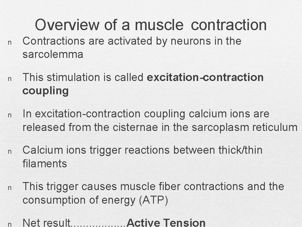 Overview of a muscle contraction n Contractions are activated by neurons in the sarcolemma
