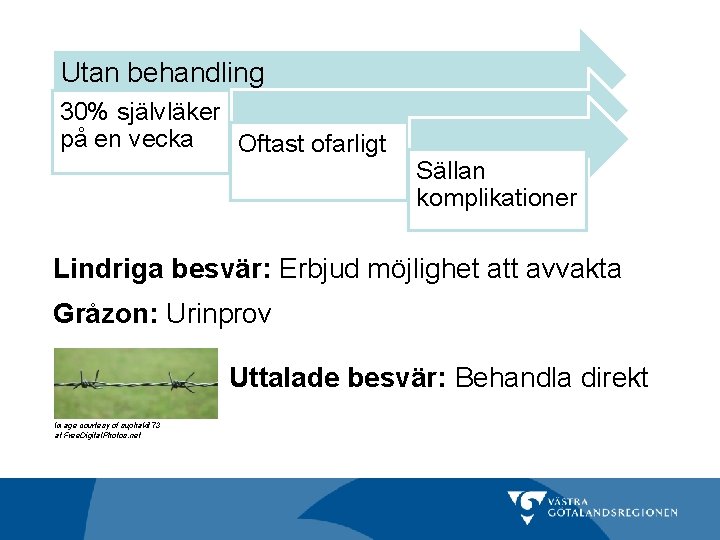Utan behandling 30% självläker på en vecka Oftast ofarligt Sällan komplikationer Lindriga besvär: Erbjud
