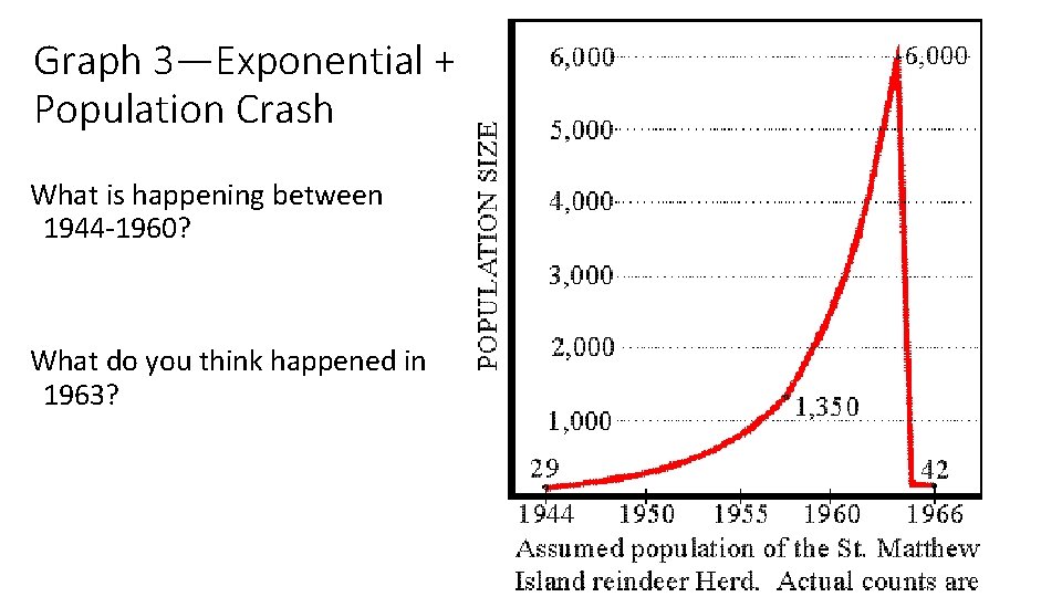 Graph 3—Exponential + Population Crash What is happening between 1944 -1960? What do you
