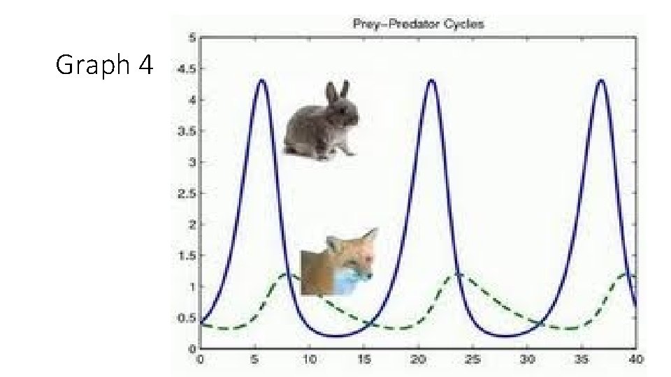 Graph 4 