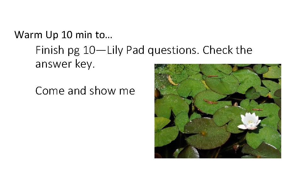 Warm Up 10 min to… Finish pg 10—Lily Pad questions. Check the answer key.