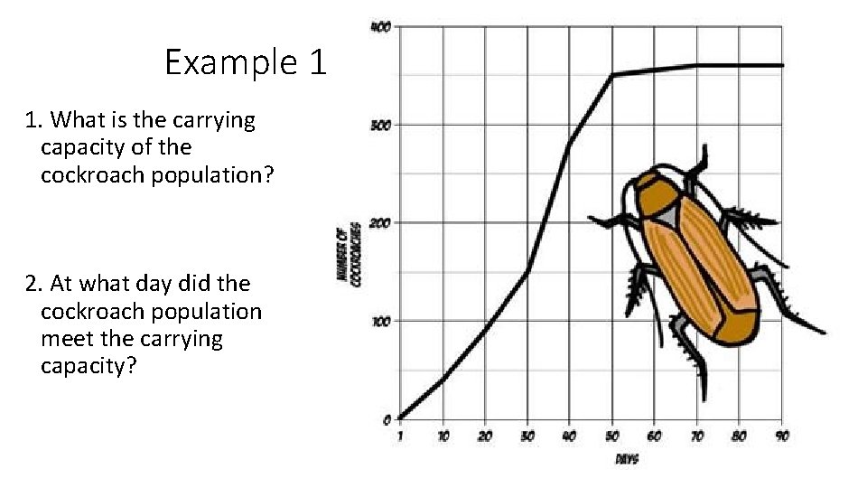 Example 1 1. What is the carrying capacity of the cockroach population? 2. At