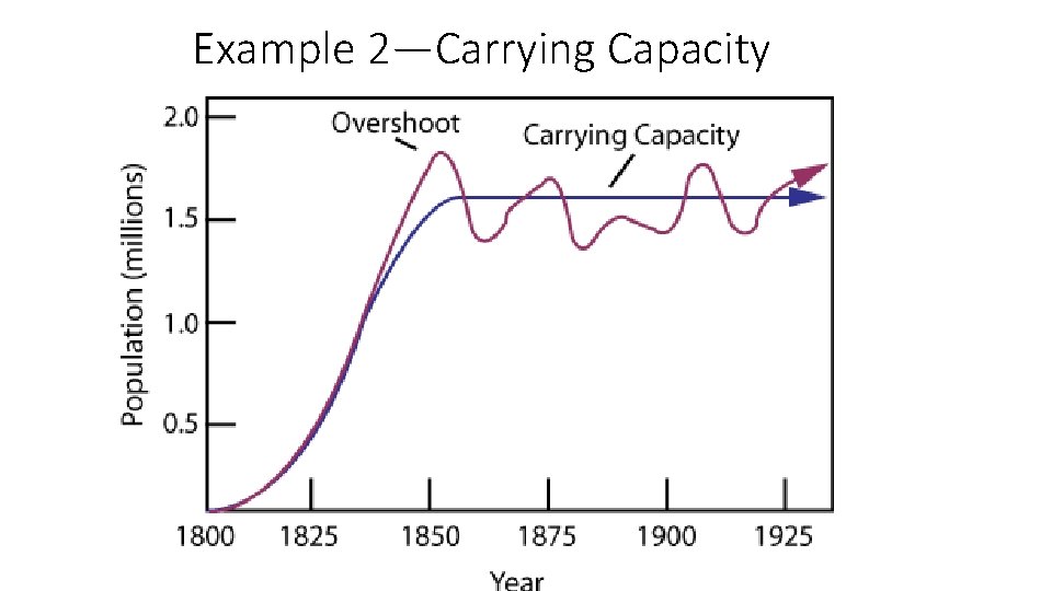 Example 2—Carrying Capacity 