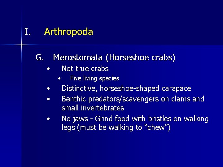 I. Arthropoda G. Merostomata (Horseshoe crabs) • Not true crabs • • Five living