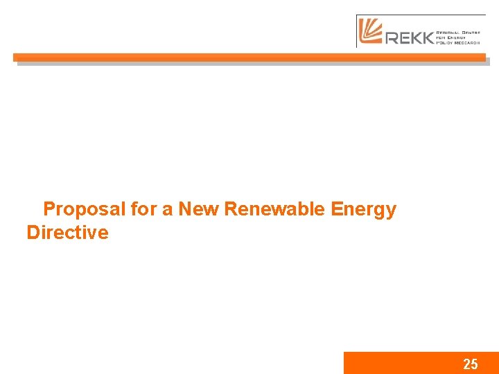 Proposal for a New Renewable Energy Directive 25 