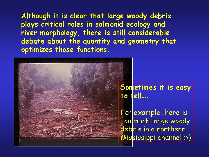 Although it is clear that large woody debris plays critical roles in salmonid ecology