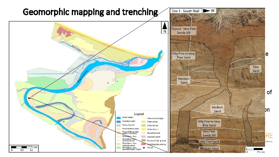 Geomorphic mapping and trenching • Geomorphic mapping to identify variability across the area •