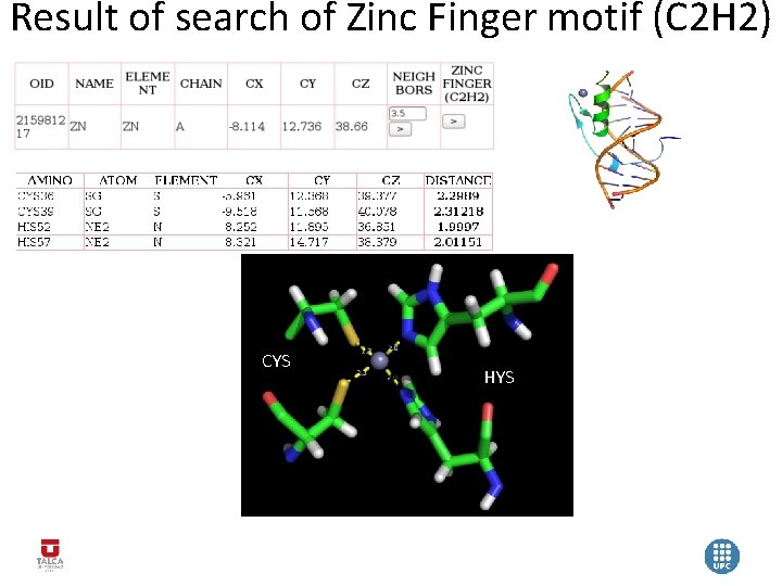 Result of search of Zinc Finger motif (C 2 H 2) CYS HYS 