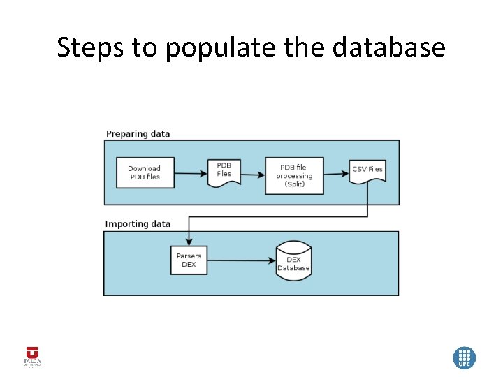 Steps to populate the database 
