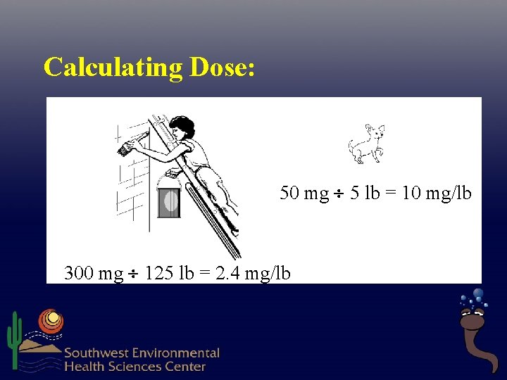 Calculating Dose: 50 mg 5 lb = 10 mg/lb 300 mg 125 lb = Calculating Dose: 50 mg 5 lb = 10 mg/lb 300 mg 125 lb =