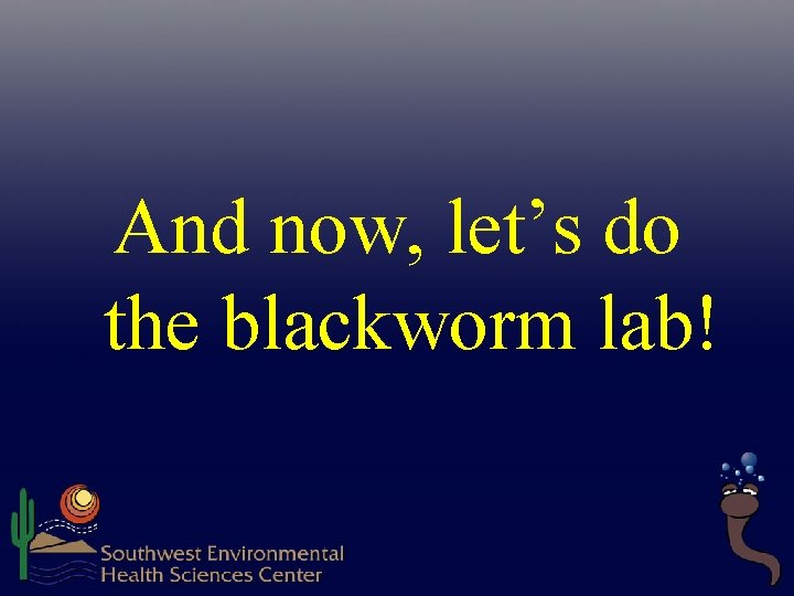 And now, let’s do the blackworm lab!  And now, let’s do the blackworm lab!