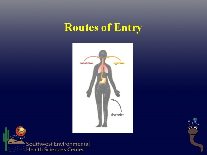 Routes of Entry  Routes of Entry