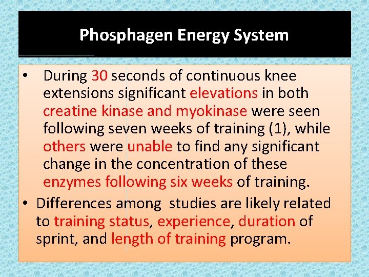 Phosphagen Energy System • During 30 seconds of continuous knee extensions significant elevations in