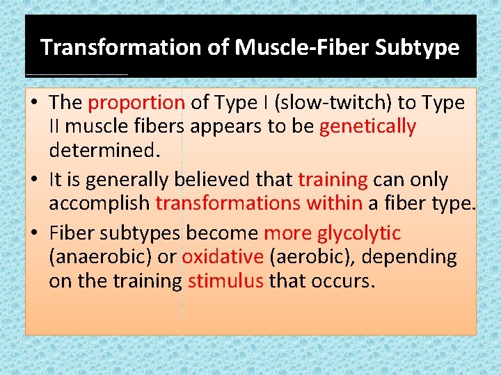 Transformation of Muscle-Fiber Subtype • The proportion of Type I (slow-twitch) to Type II