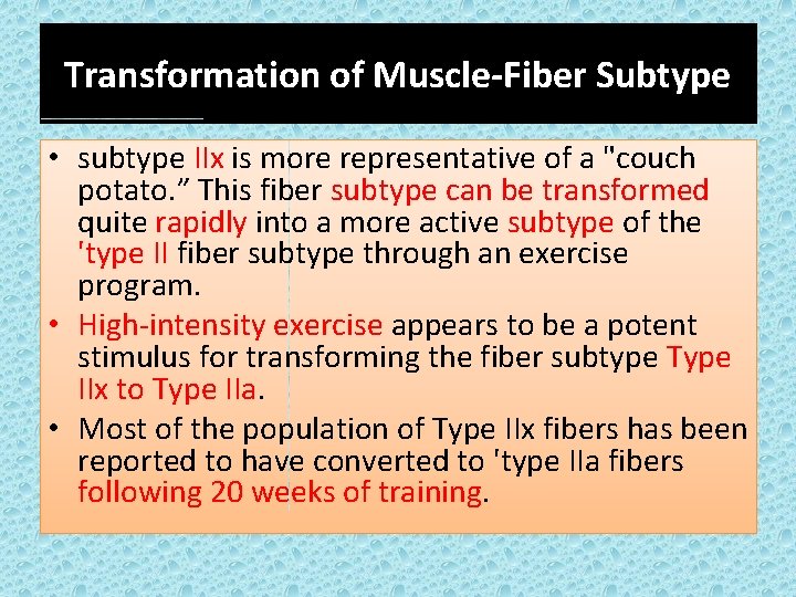 Transformation of Muscle-Fiber Subtype • subtype IIx is more representative of a "couch potato.