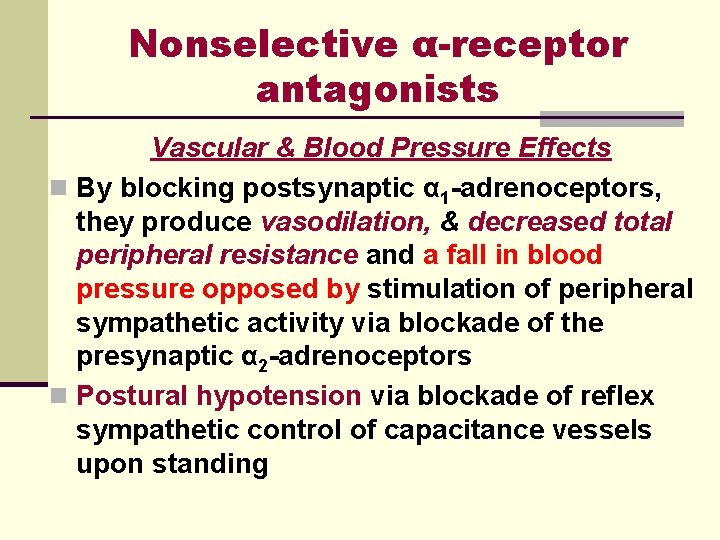 Nonselective α-receptor antagonists Vascular & Blood Pressure Effects n By blocking postsynaptic α 1