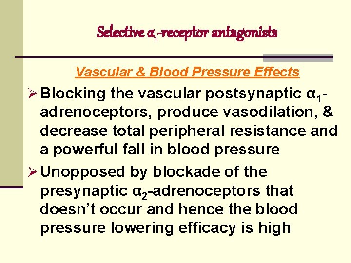 Selective α 1 -receptor antagonists Vascular & Blood Pressure Effects Ø Blocking the vascular