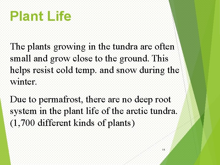 Plant Life The plants growing in the tundra are often small and grow close