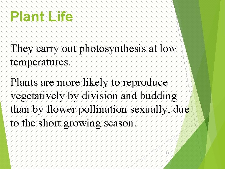 Plant Life They carry out photosynthesis at low temperatures. Plants are more likely to