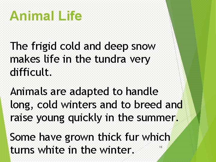 Animal Life The frigid cold and deep snow makes life in the tundra very