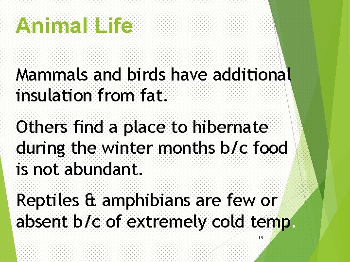 Animal Life Mammals and birds have additional insulation from fat. Others find a place